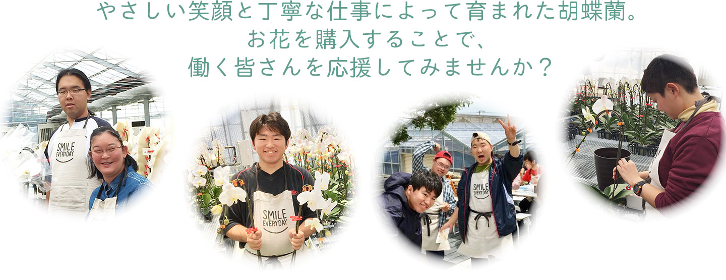 やさしい笑顔と丁寧な仕事によって育まれた胡蝶蘭。お花を購入することで、働く皆さんを応援してみませんか?